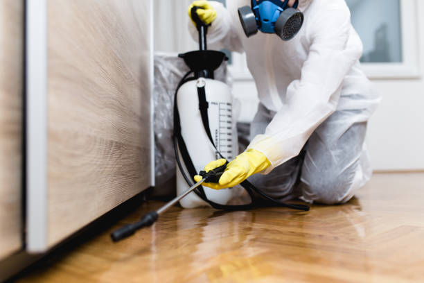 Best Rat Extermination Near Me  in Farmersville, TX
