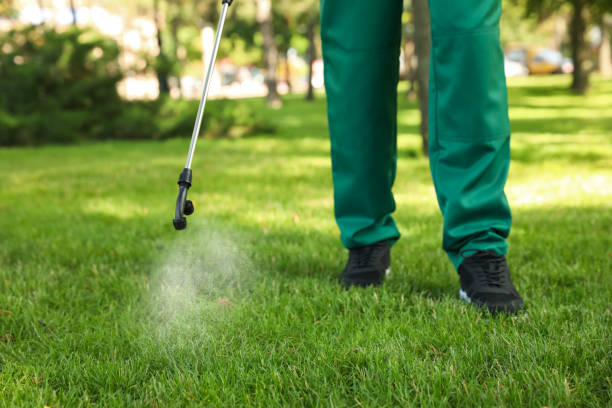 Best Cockroach Control Services  in Farmersville, TX