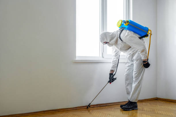 Pest Prevention Services in Farmersville, TX