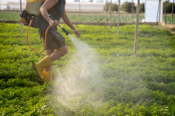 Best Residential Pest Control  in Farmersville, TX
