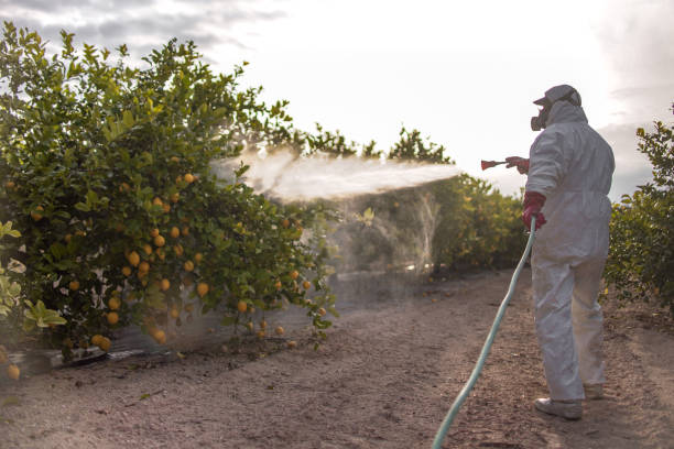 Best Flea Control Services  in Farmersville, TX