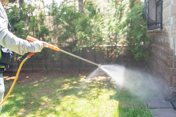 Best Spider Control Near Me  in Farmersville, TX