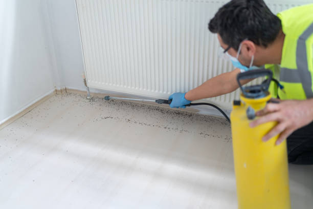 Reliable Farmersville, TX Pest Control Solutions