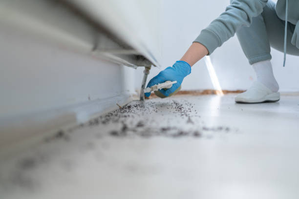 Best Residential Pest Control  in Farmersville, TX