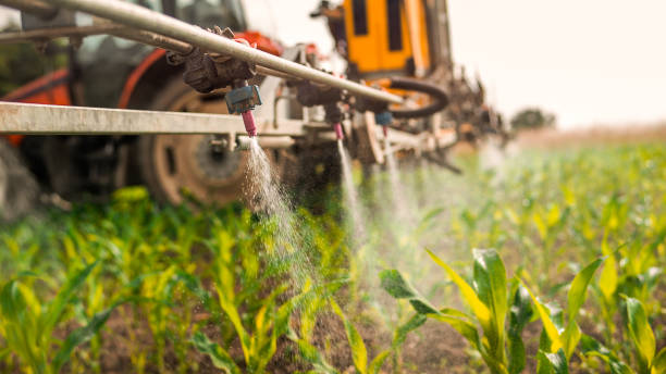 Best Best Pest Control Near Me  in Farmersville, TX