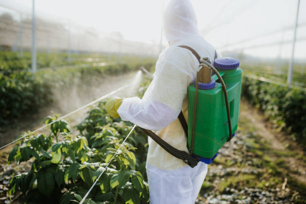 Best Emergency Pest Control  in Farmersville, TX